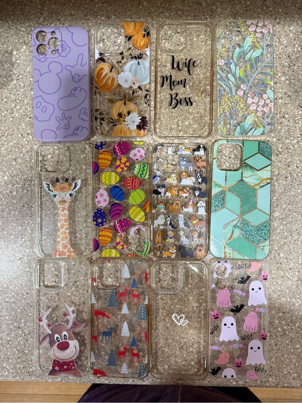 iPhone 13 Pro Max phone cases